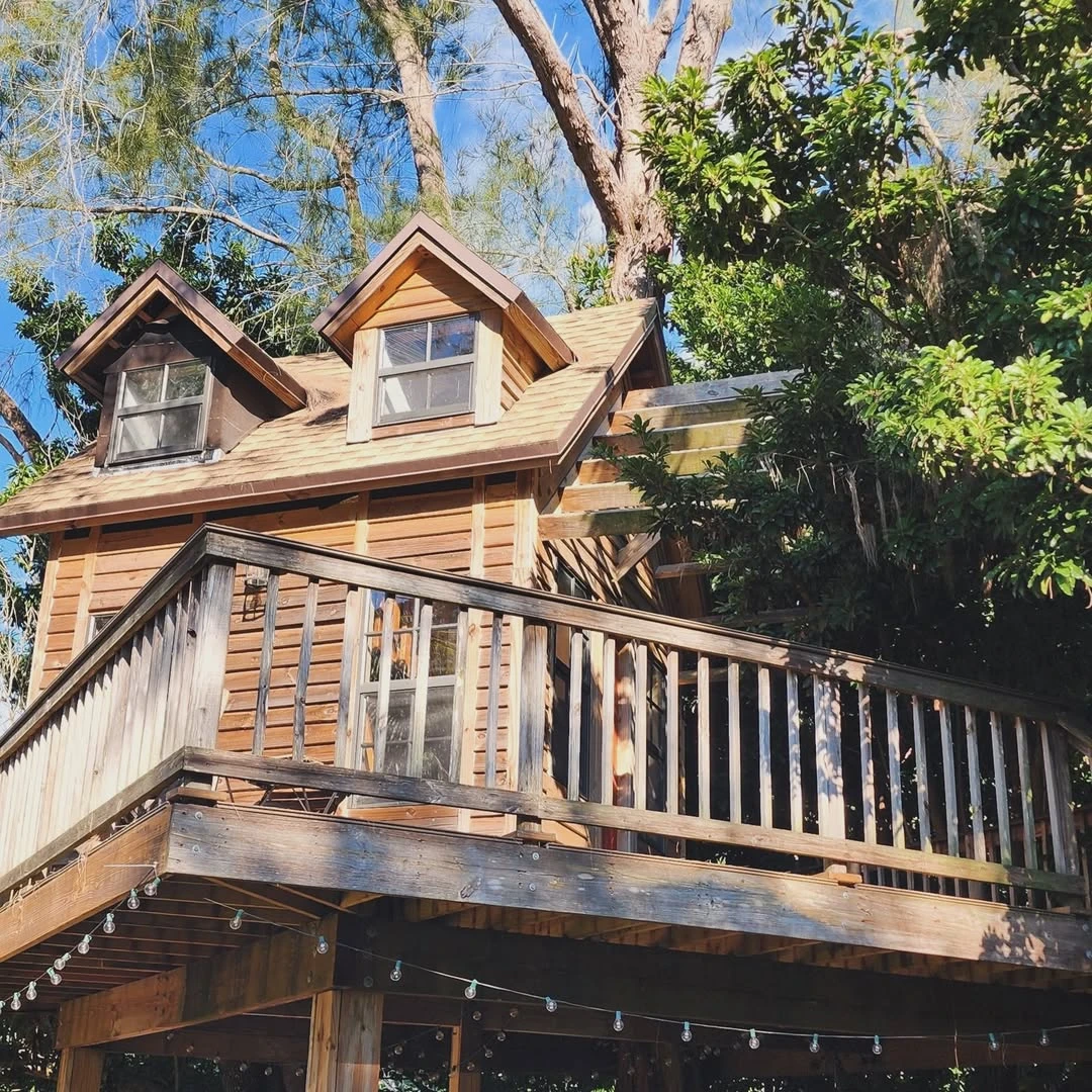 stays in a treehouse cabin rental hero