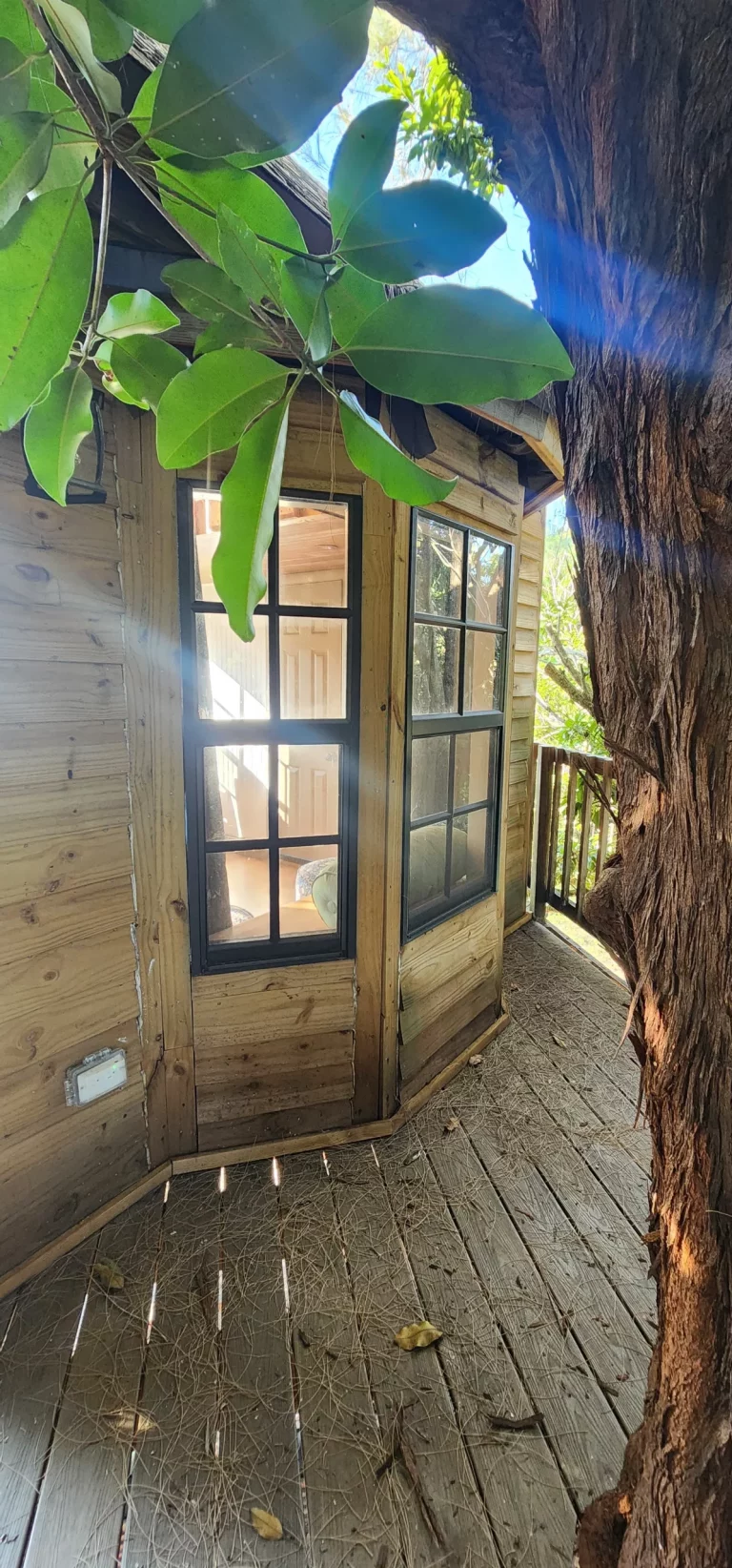 Exterior view of a Florida treehouse rental with wooden details, windows, and lush green leaves, perfect for a treehouse geta