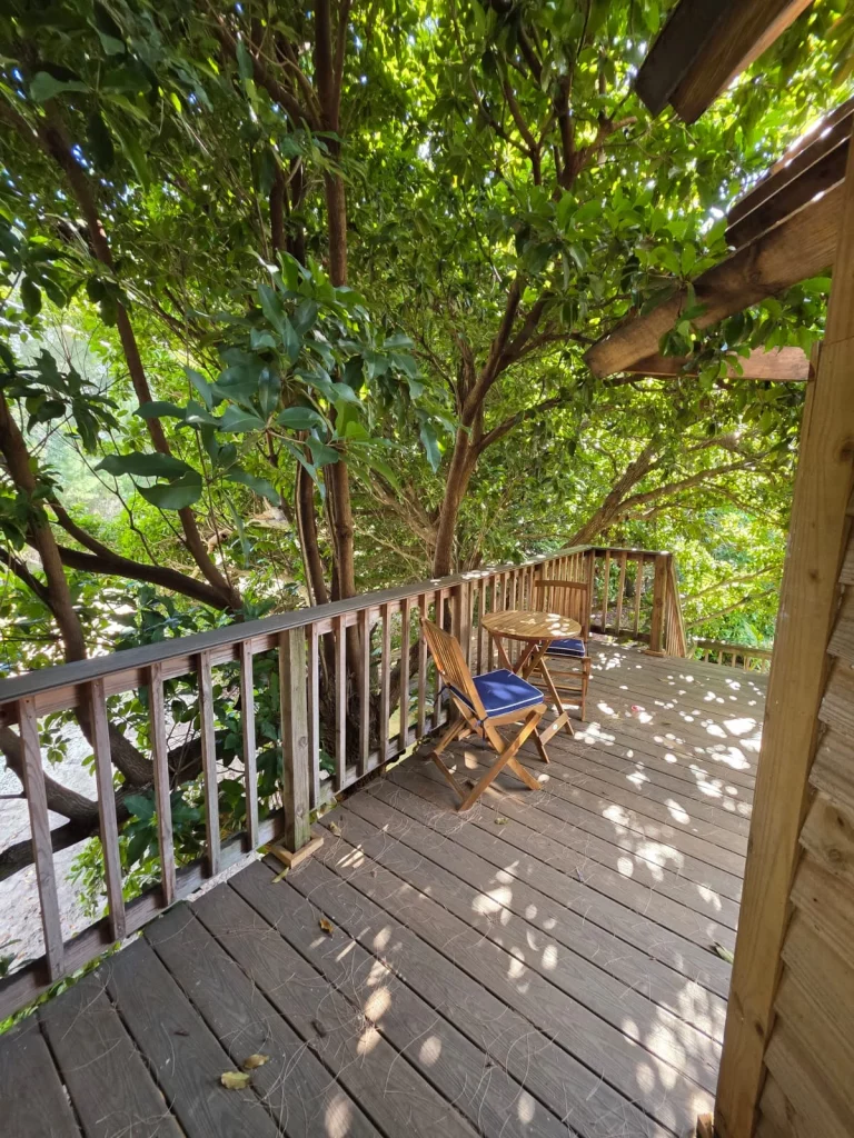 SunnyTops treehouse deck with chairs and table, surrounded by lush green trees, perfect for a treehouse getaway in Florida.